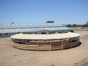 EuroXciser Horse Exerciser Horse Exerciser