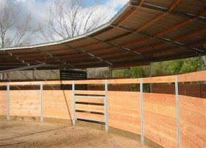 EuroXciser Testimonial