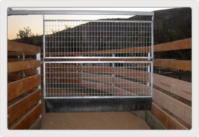 EuroXciser F Partition Partition