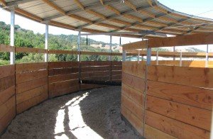 Horse Exerciser Footing