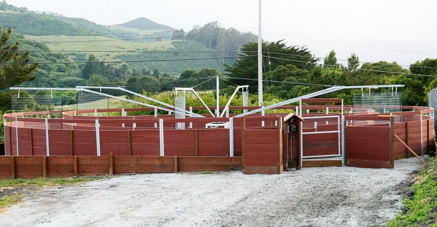 6 horse 60 foot Horse Exerciser